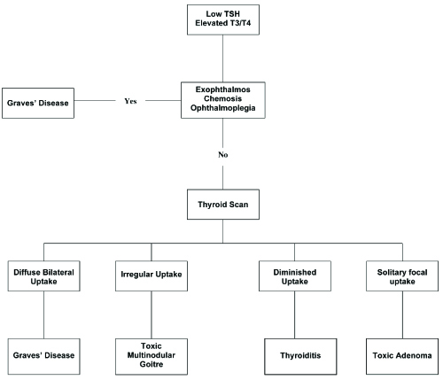 thyroid scan